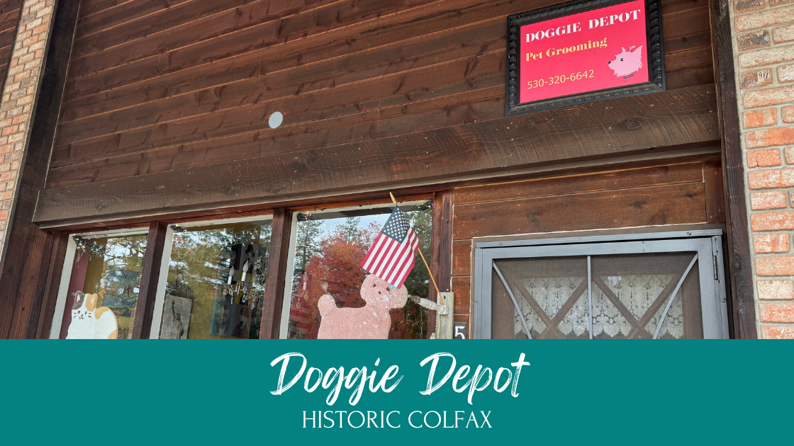 Doggie Depot storefront in historic downtown Colfax, CA, showcasing pet products and welcoming atmosphere.